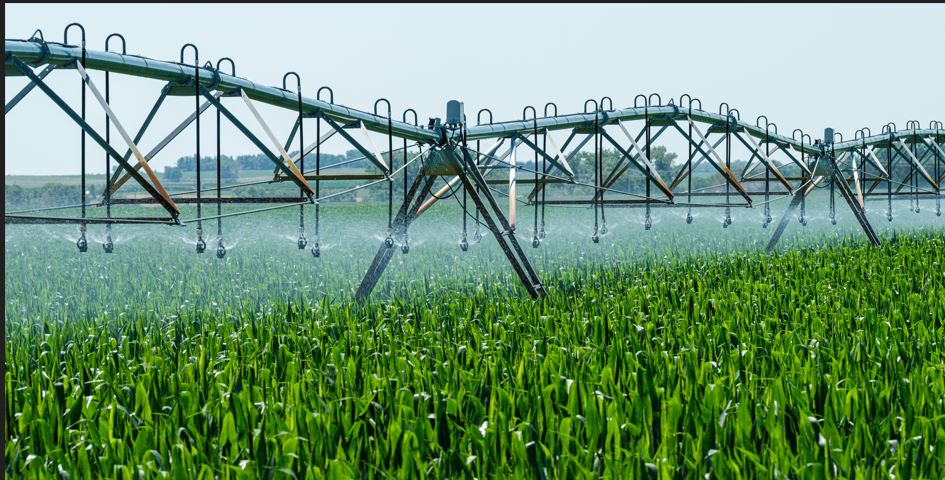 Drip and sprinkler irrigation system installation on farm